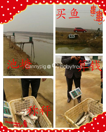 journal_insert_pic_125317404