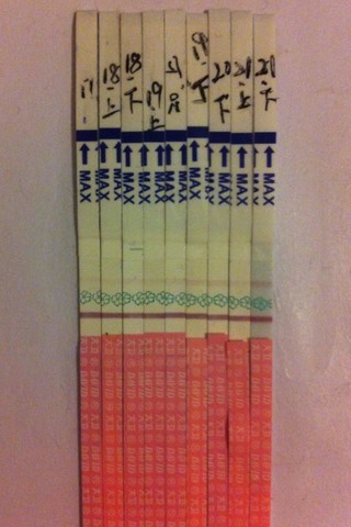 journal_insert_pic_126365256