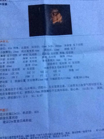 journal_insert_pic_126377542