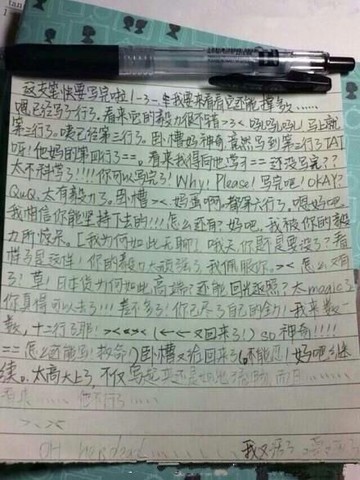 journal_insert_pic_126465052