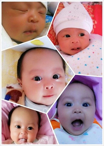 journal_insert_pic_126847545