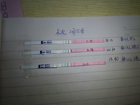 journal_insert_pic_126977999