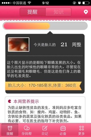journal_insert_pic_127539905