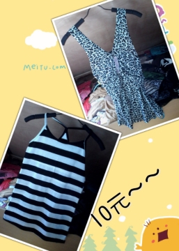 journal_insert_pic_127744263