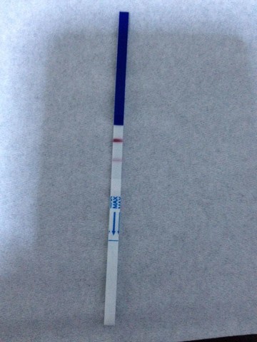 journal_insert_pic_128093678