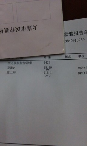 journal_insert_pic_128404062