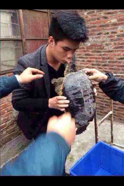 结果一口被鳄龟咬住嘴唇