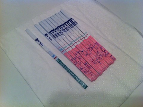 journal_insert_pic_128820267
