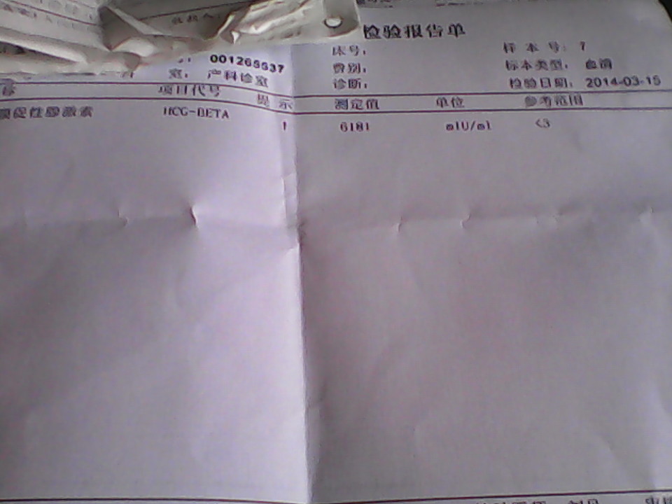 journal_insert_pic_129051725