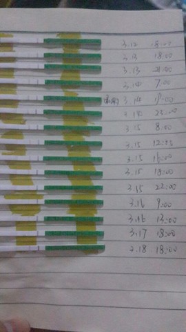 journal_insert_pic_129415952