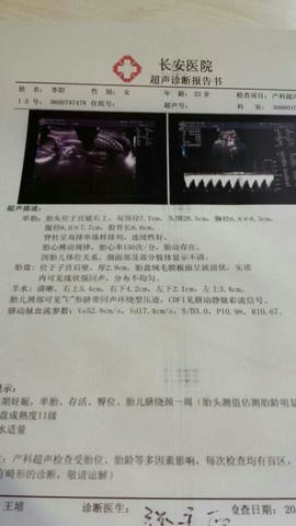 journal_insert_pic_129603206