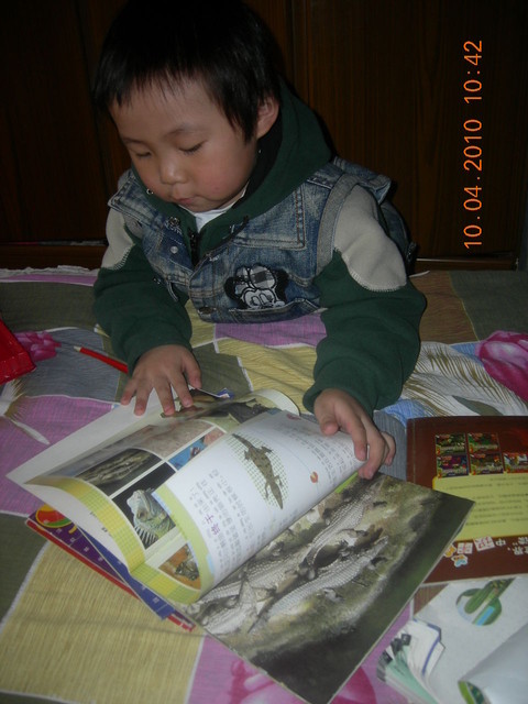 journal_insert_pic_129736046