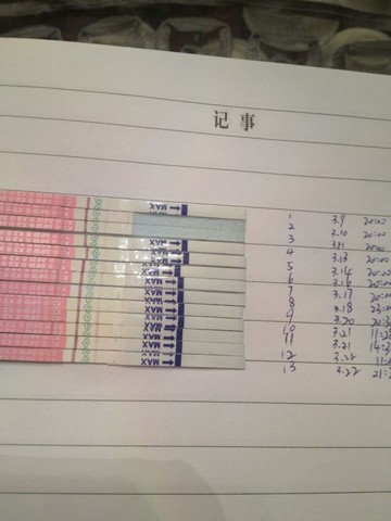 journal_insert_pic_129960558