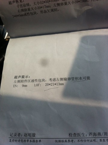 journal_insert_pic_130114571