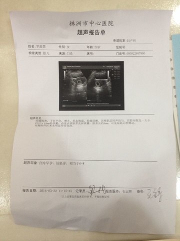 journal_insert_pic_130072193