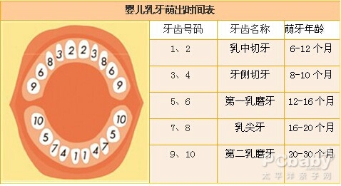 journal_insert_pic_130130315