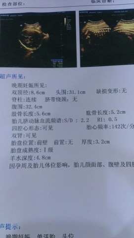 journal_insert_pic_130379167