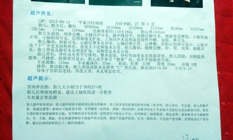journal_insert_pic_130552430