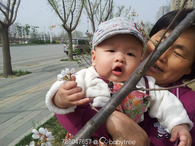 journal_insert_pic_130732730