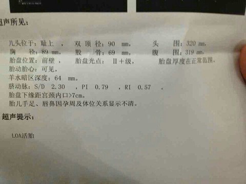 journal_insert_pic_130647029