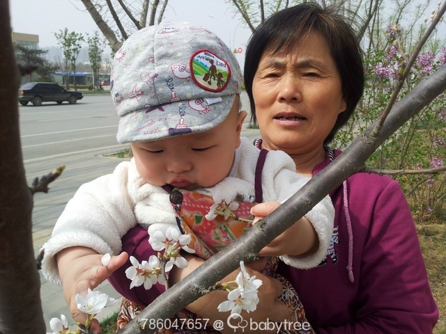 journal_insert_pic_130732715
