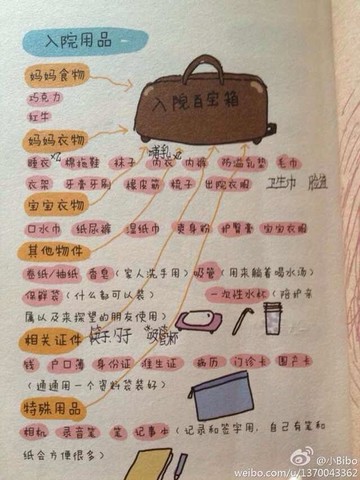 journal_insert_pic_130612978