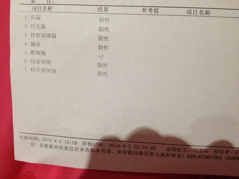 journal_insert_pic_131494659