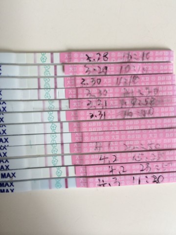 journal_insert_pic_131429657