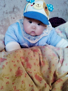 journal_insert_pic_132139755