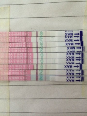 journal_insert_pic_132392706