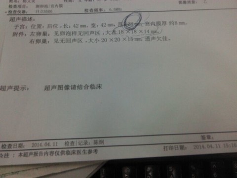 journal_insert_pic_132490062