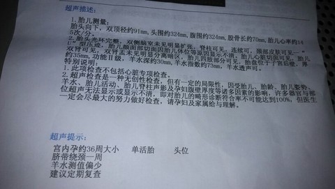 journal_insert_pic_133100119