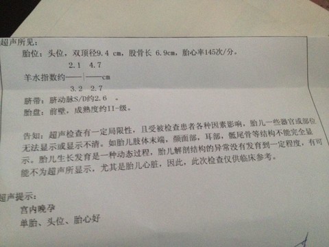 journal_insert_pic_133378096