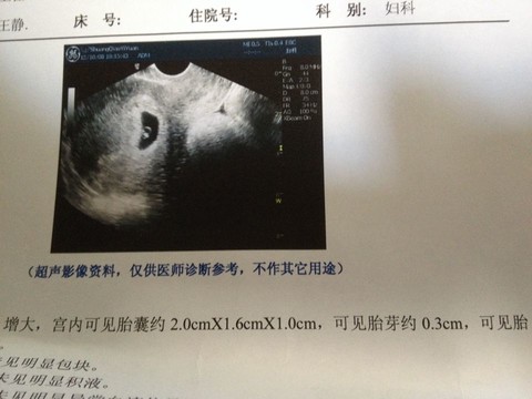 journal_insert_pic_133724961