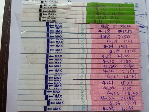 journal_insert_pic_134058731