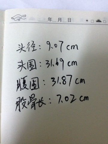 journal_insert_pic_134332703