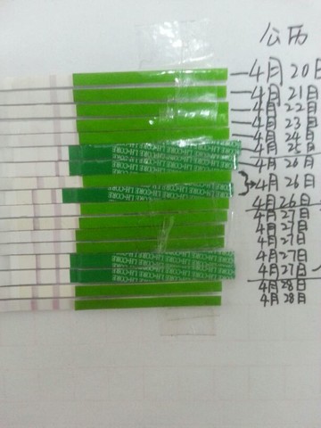 journal_insert_pic_134679282