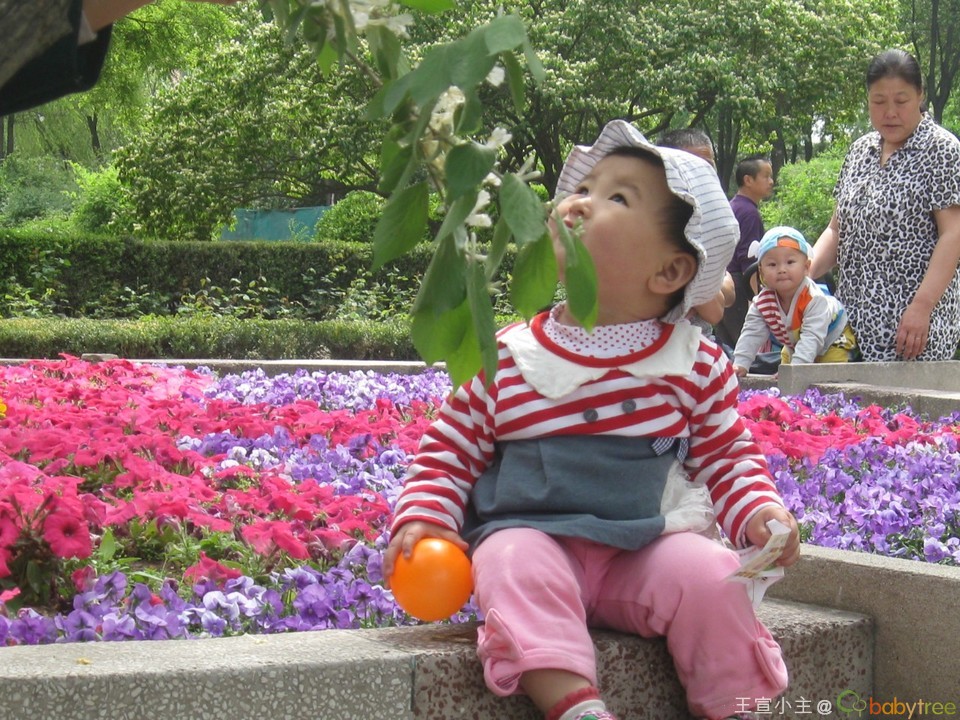 journal_insert_pic_134907146
