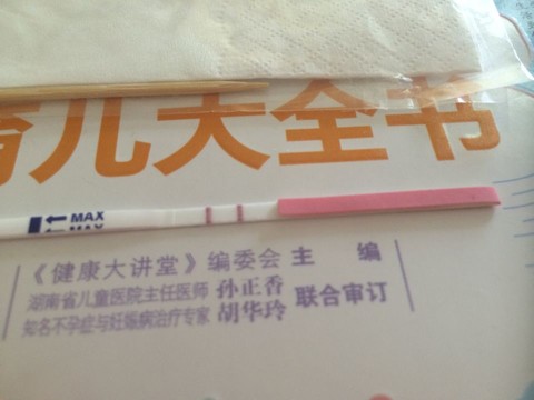 journal_insert_pic_134910663