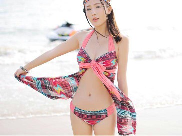 journal_insert_pic_135891671