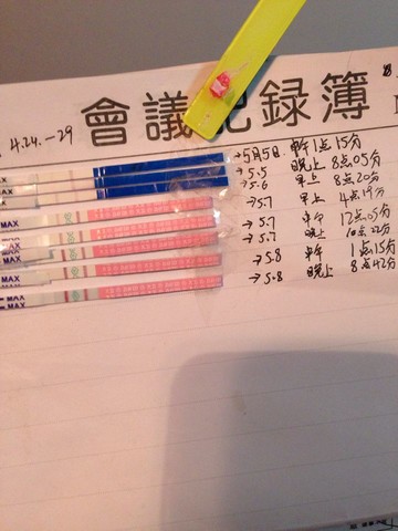 journal_insert_pic_135989679