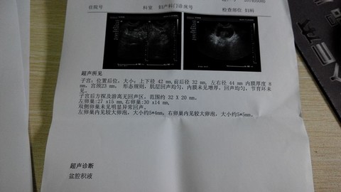 journal_insert_pic_135916451