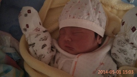 journal_insert_pic_136335973