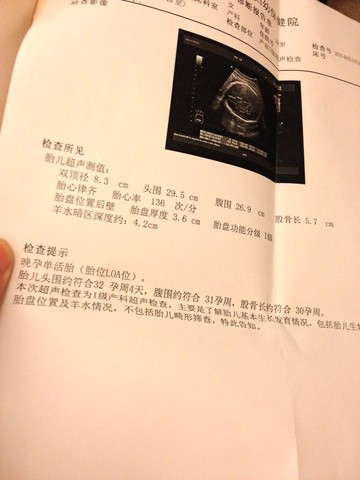 journal_insert_pic_137044800