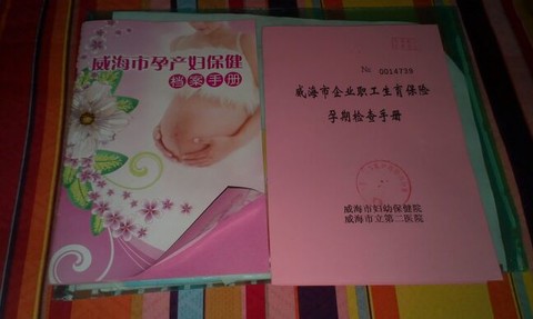 journal_insert_pic_138172198