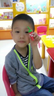 journal_insert_pic_138737457