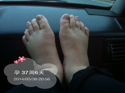 journal_insert_pic_139190019