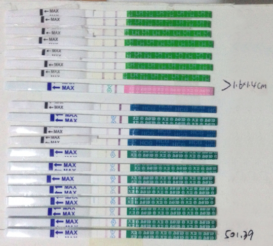 journal_insert_pic_139651277