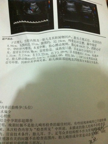 journal_insert_pic_140215372