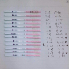 journal_insert_pic_140807584